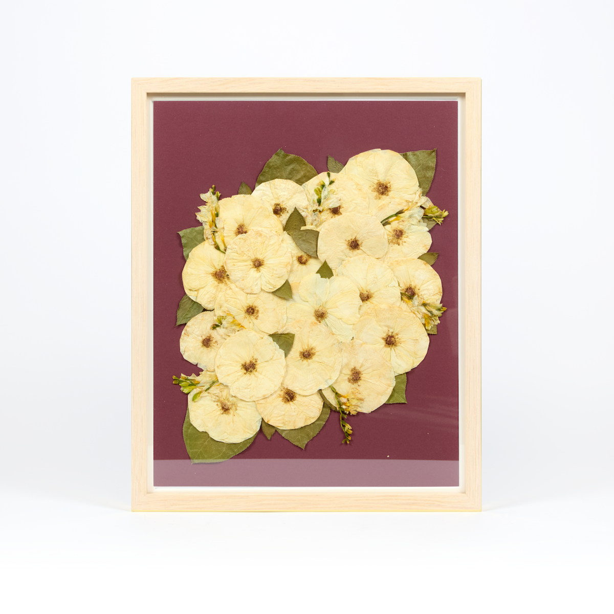 16x20 Flower Burst | Bouquet Preservation Frame