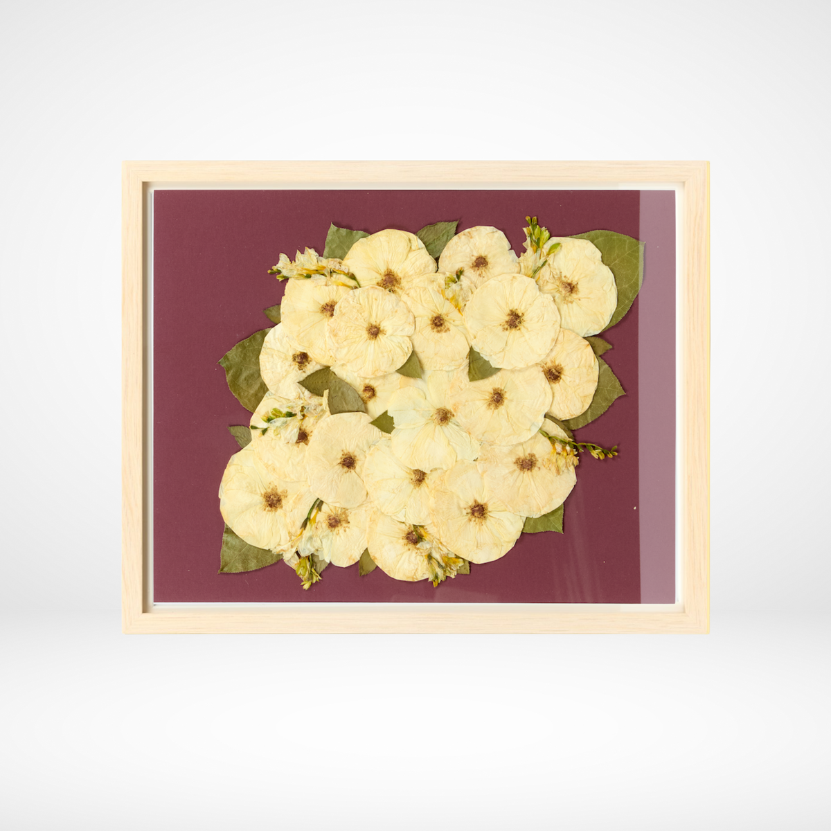 16x20 Flower Burst | Bouquet Preservation Frame