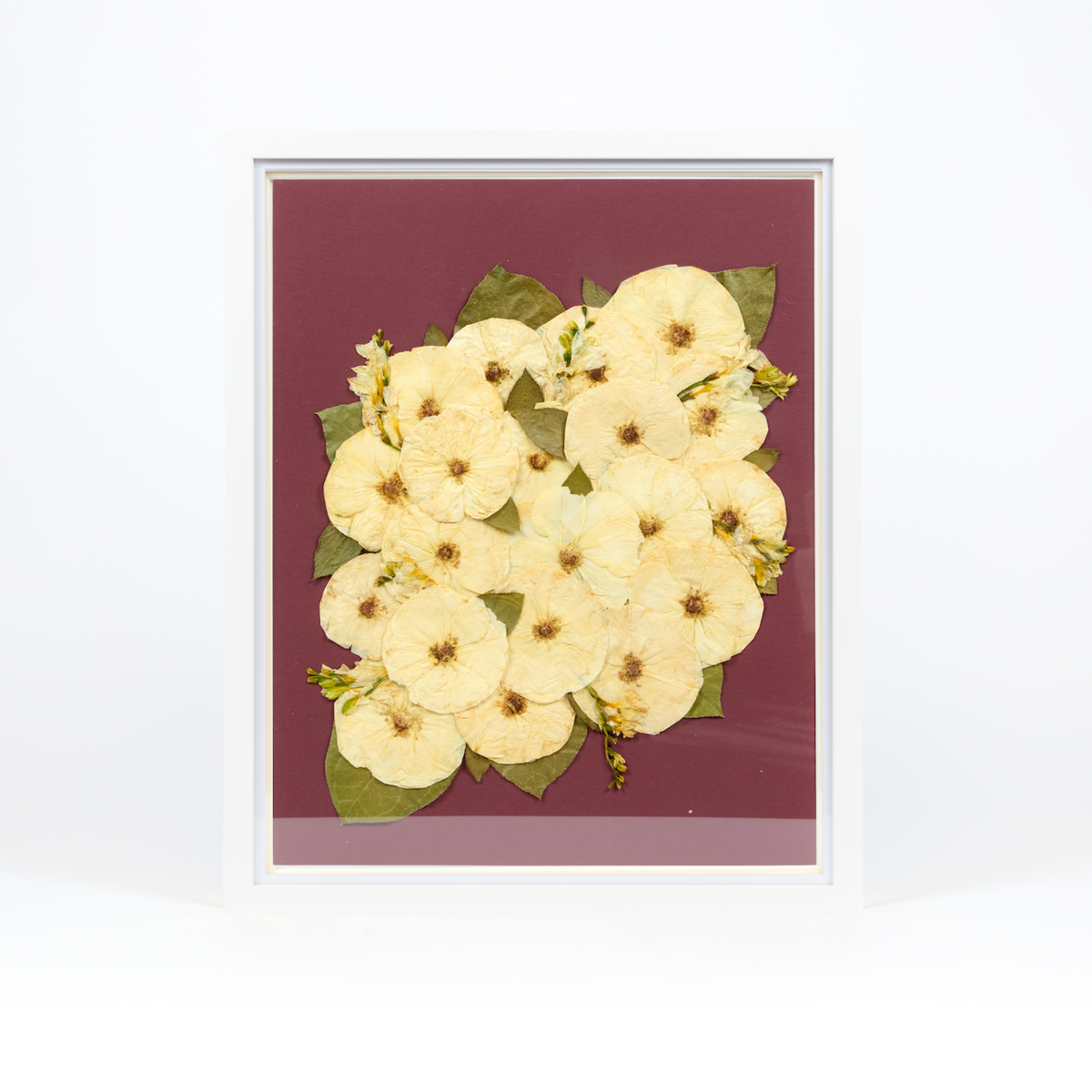 16x20 Flower Burst | Bouquet Preservation Frame