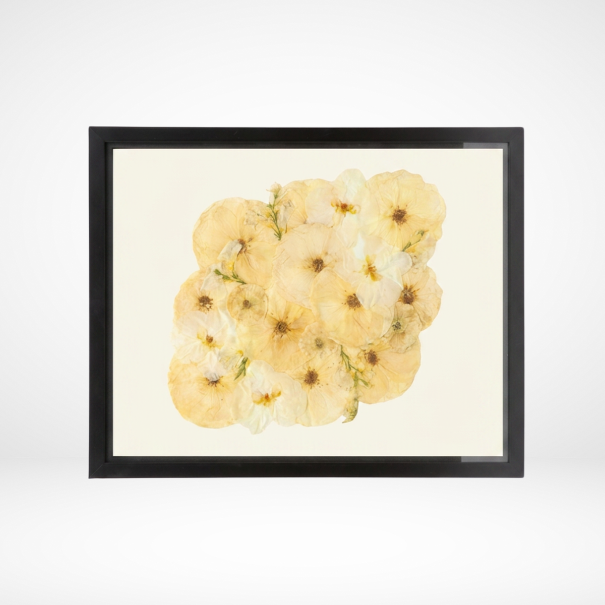 16x20 Flower Burst | Bouquet Preservation Frame