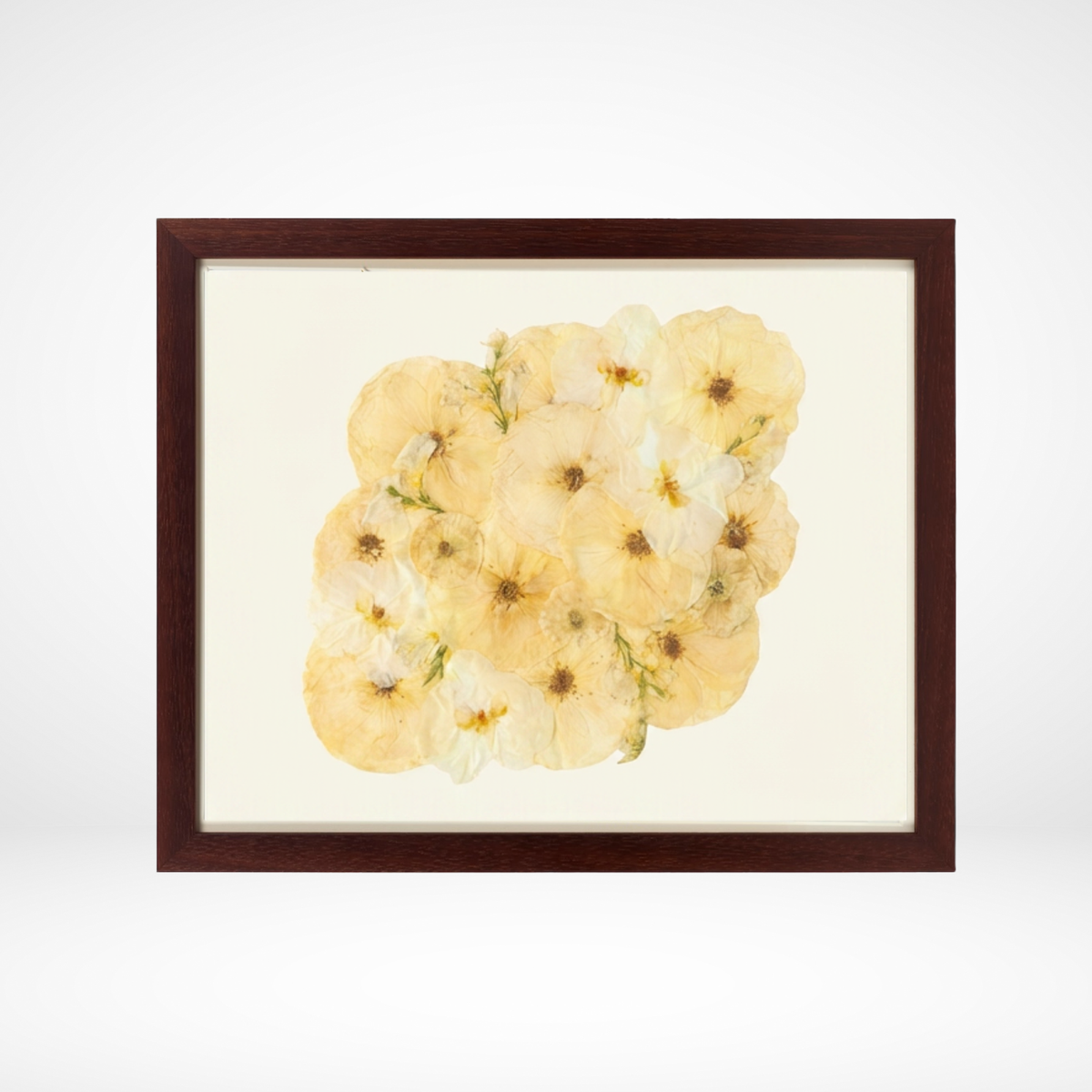 16x20 Flower Burst | Bouquet Preservation Frame