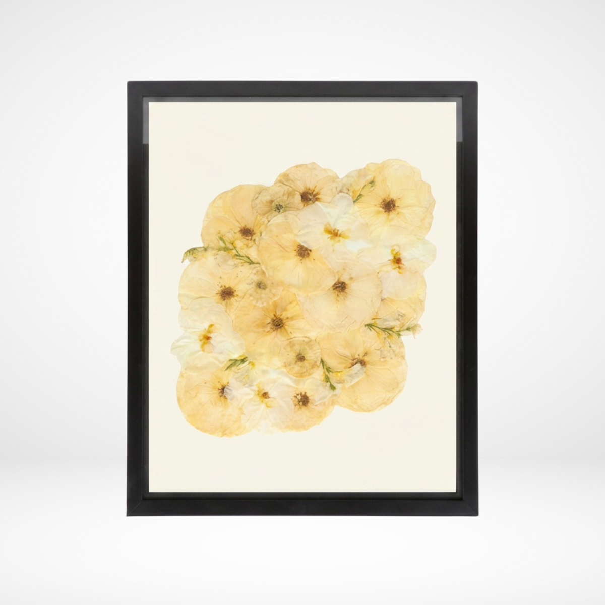 16x20 Flower Burst | Bouquet Preservation Frame