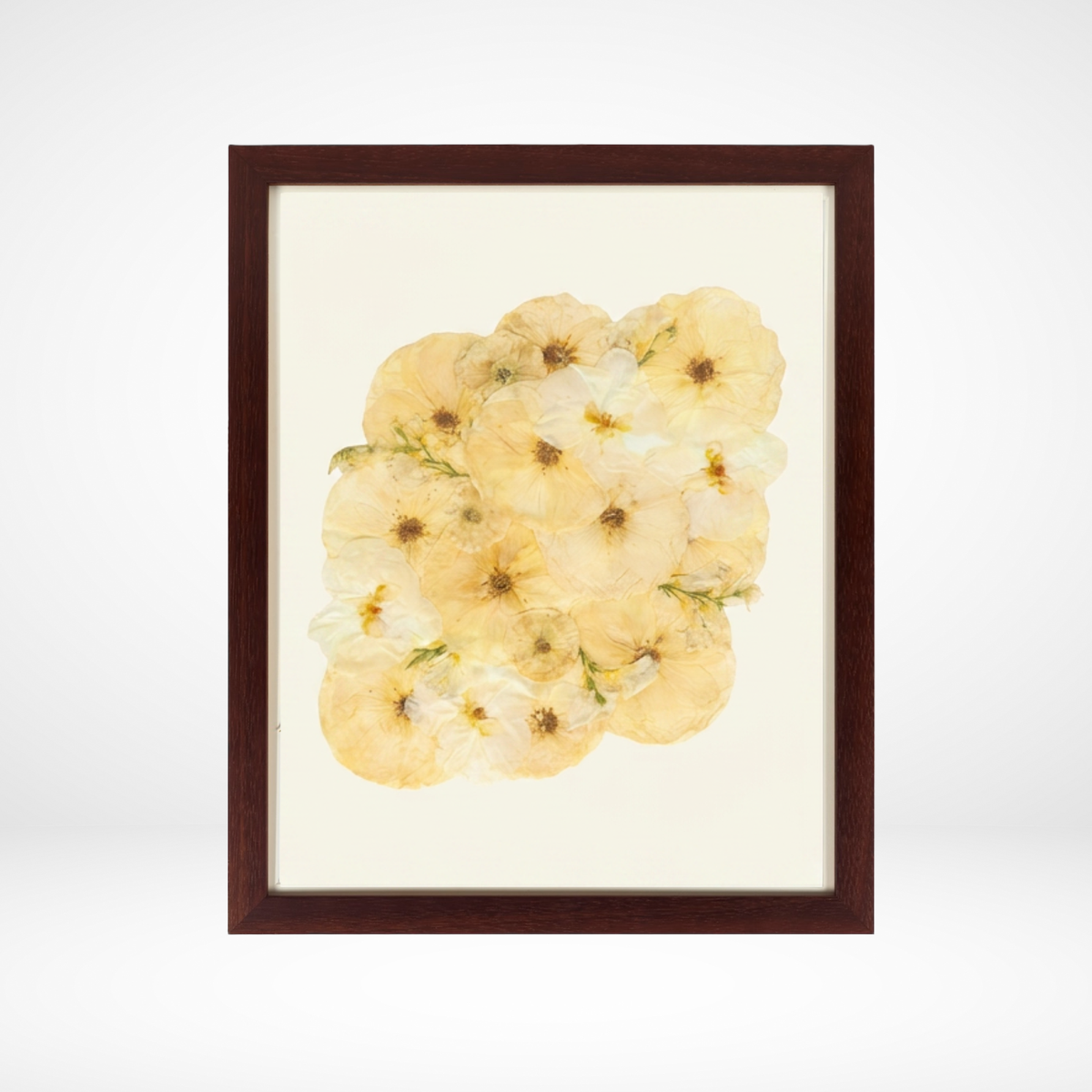 16x20 Flower Burst | Bouquet Preservation Frame