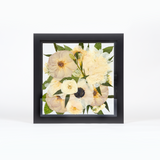 Wedding bouquet preservation frame in a 10x10 size with black wood surround. All white and green pressed florals with pressed quicksand roses displayed in our burst design style.