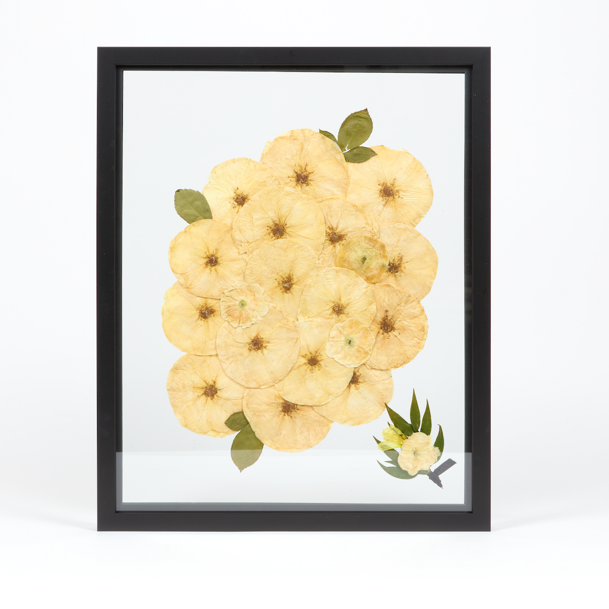 A light and airy floral preservation pressed flower frame with all white pressed roses and ranunculus featuring a boutonniere in a corner. 16x20 black wood frame design.