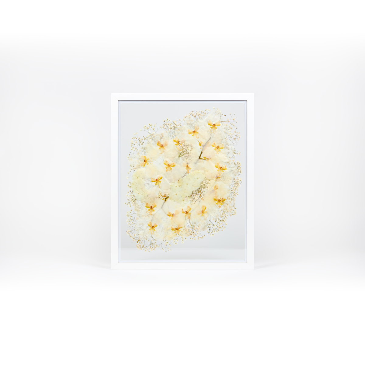 A pressed bridal bouquet in a white wood floating frame featuring pressed white orchids, hydrangea, and baby's breath.