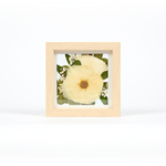 Small pressed floral art frame with white roses, baby's breath, and greenery. A 6x6 display of preserved wedding flowers.