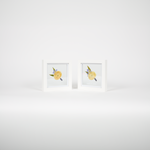 A tiny duo of two 6x6 pressed floral frames, most commonly used for two preserved boutonnieres or corsages to be gifted or displayed side by side.