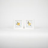 A tiny duo of two 6x6 pressed floral frames, most commonly used for two preserved boutonnieres or corsages to be gifted or displayed side by side.
