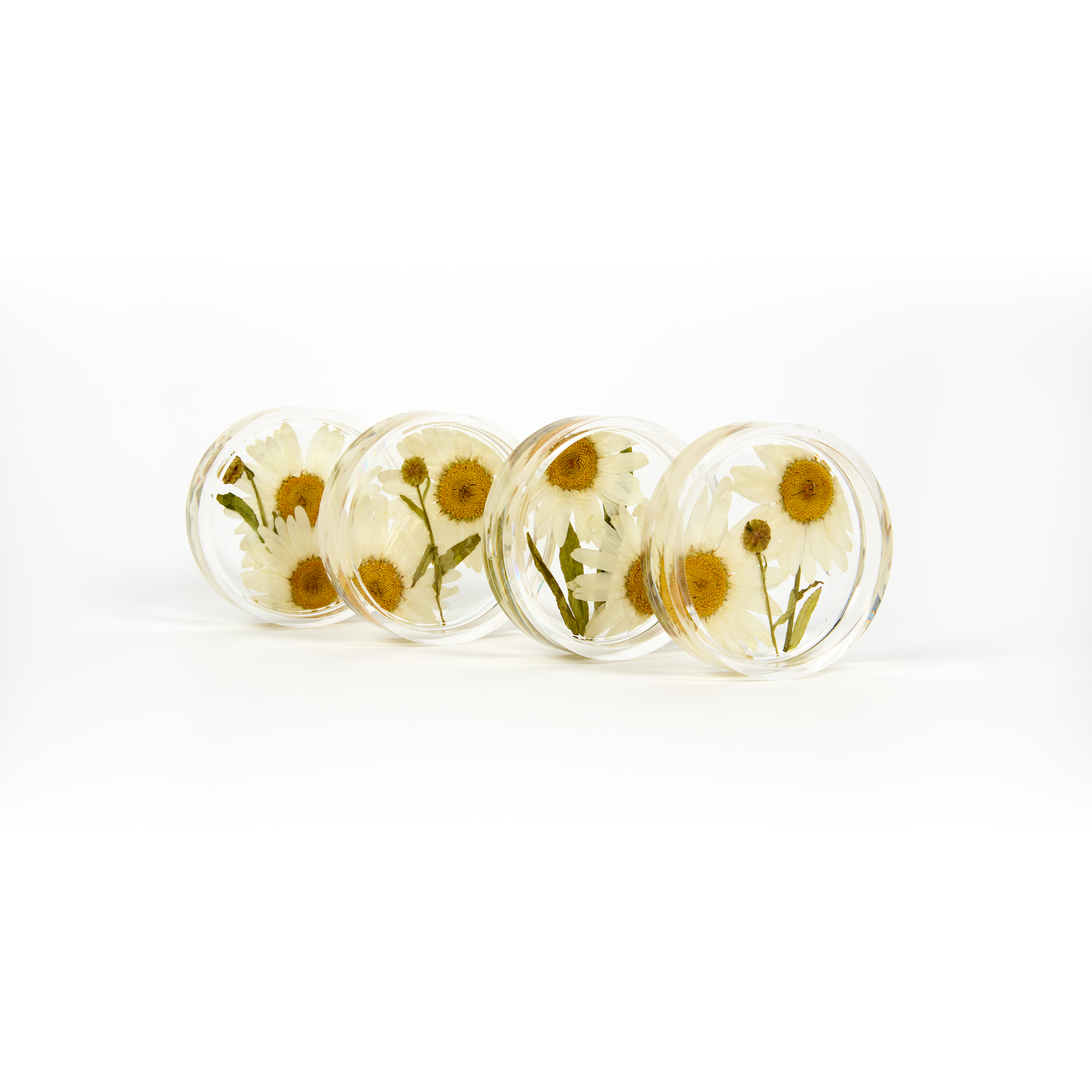Preserved flowers in resin coasters, a set of four. Circle shape.