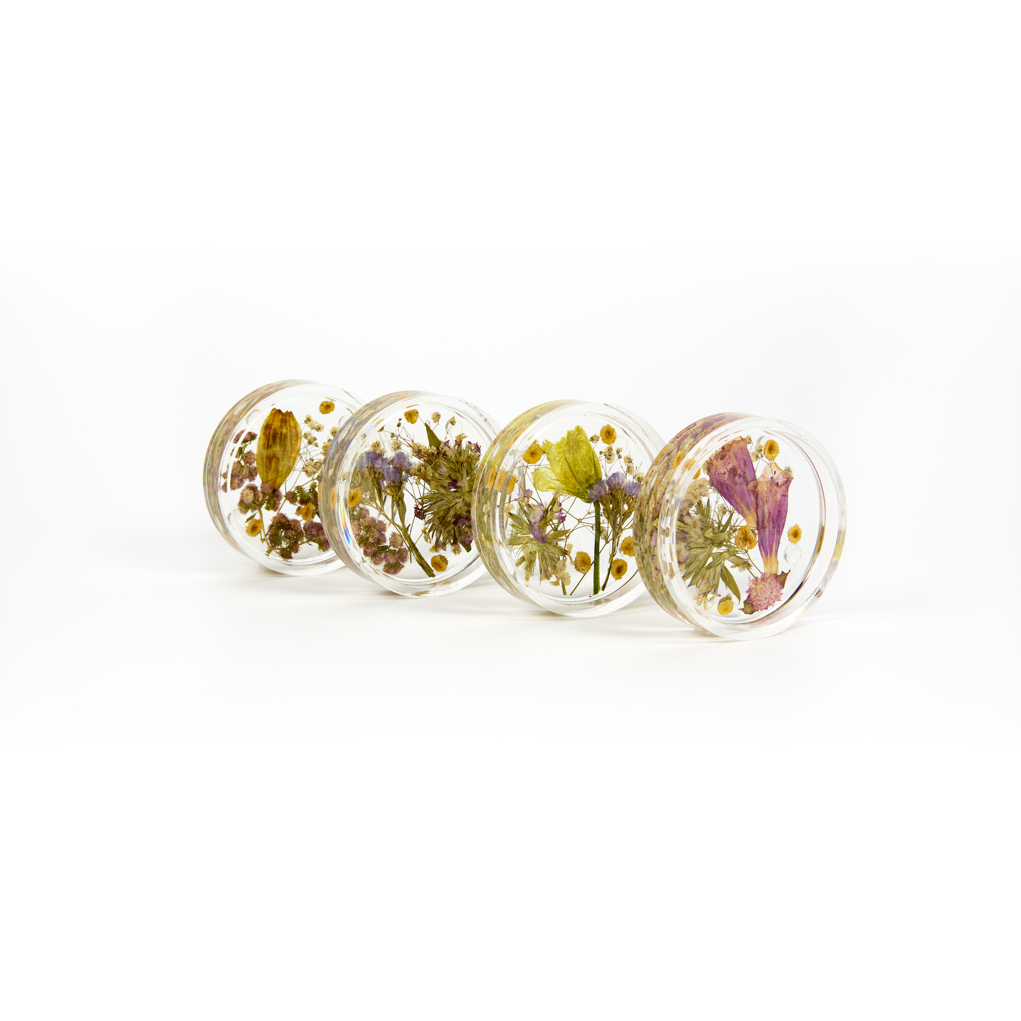 Preserved flowers in resin coasters, a set of four. Circle shape.