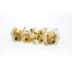Preserved flowers in resin coasters, a set of four. Hexagon shape with gold metallic flakes added.