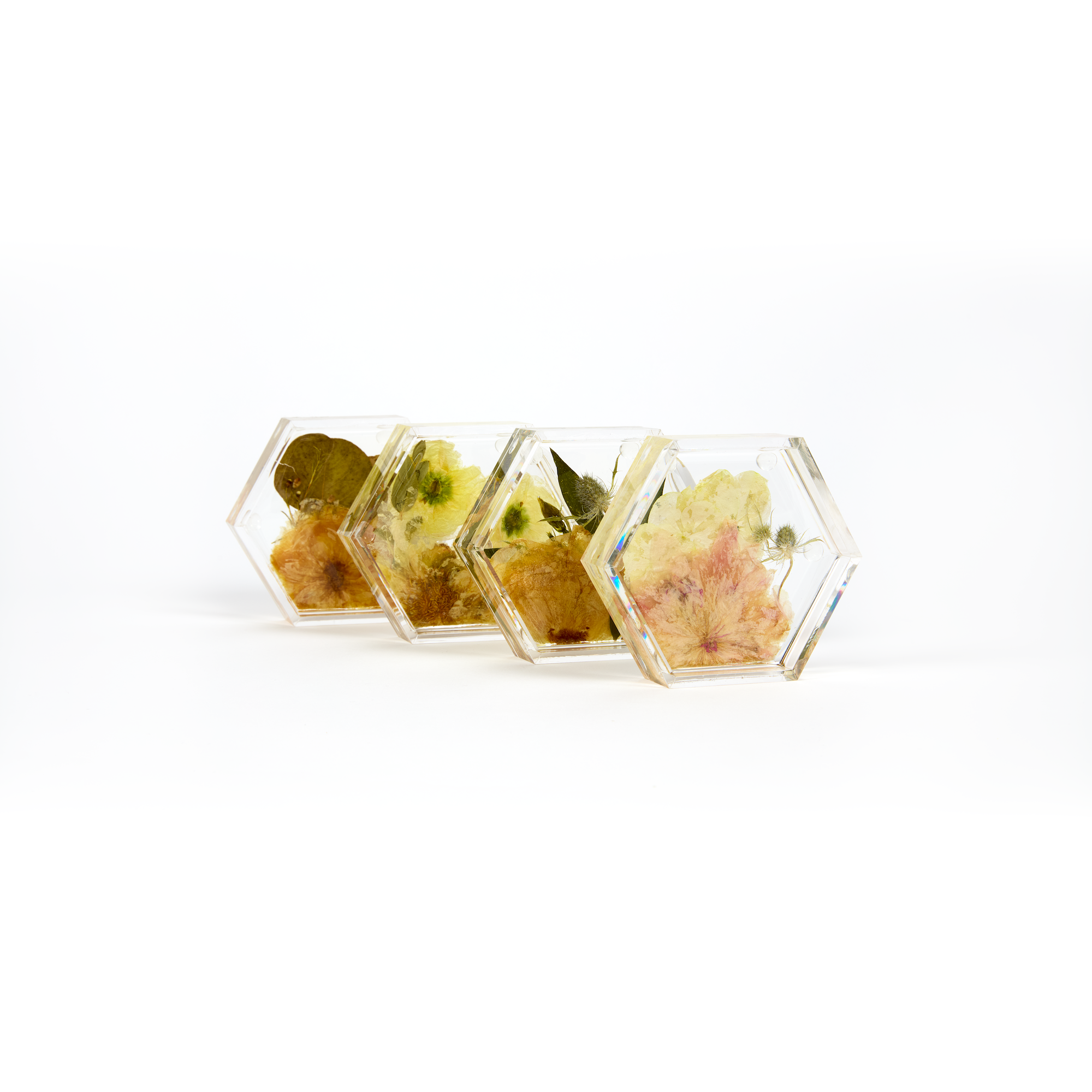 Preserved flowers in resin coasters, a set of four. Hexagon shape.