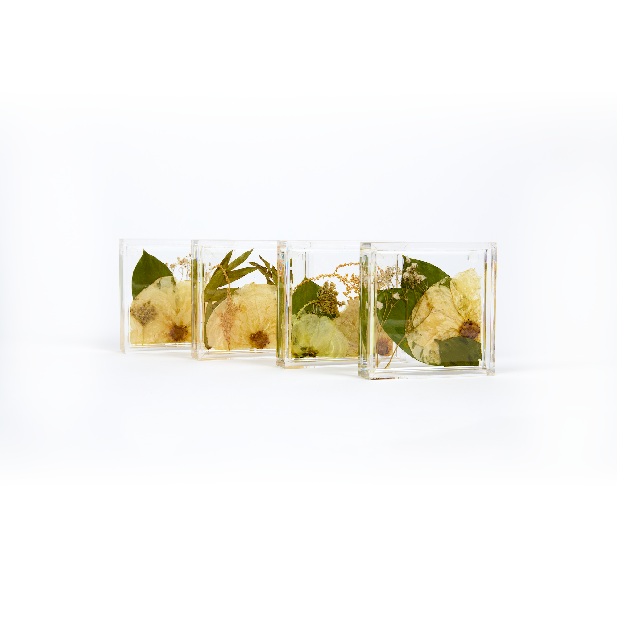 Preserved flowers in resin coasters, a set of four. Square shape.