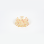 Resin pressed flower ring dish. Catch all dish with pressed flowers. Circle shape. Confetti petal style.