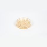 Resin pressed flower ring dish. Catch all dish with pressed flowers. Circle shape. Confetti petal style.