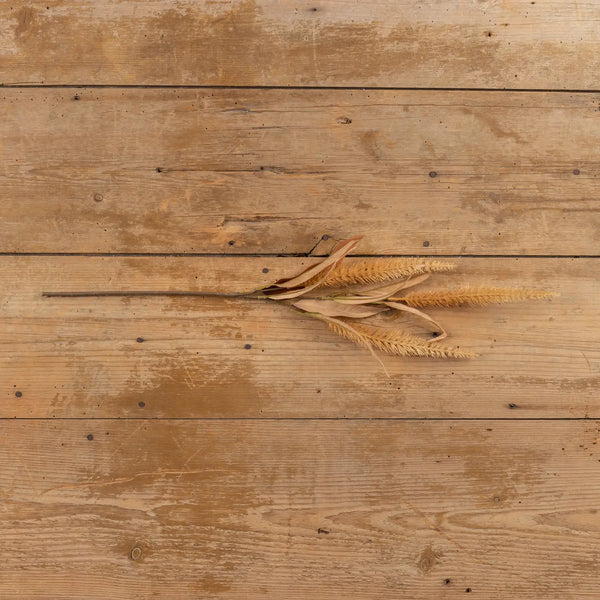 Sienna Bristlegrass Spray | Set of 3 Stems