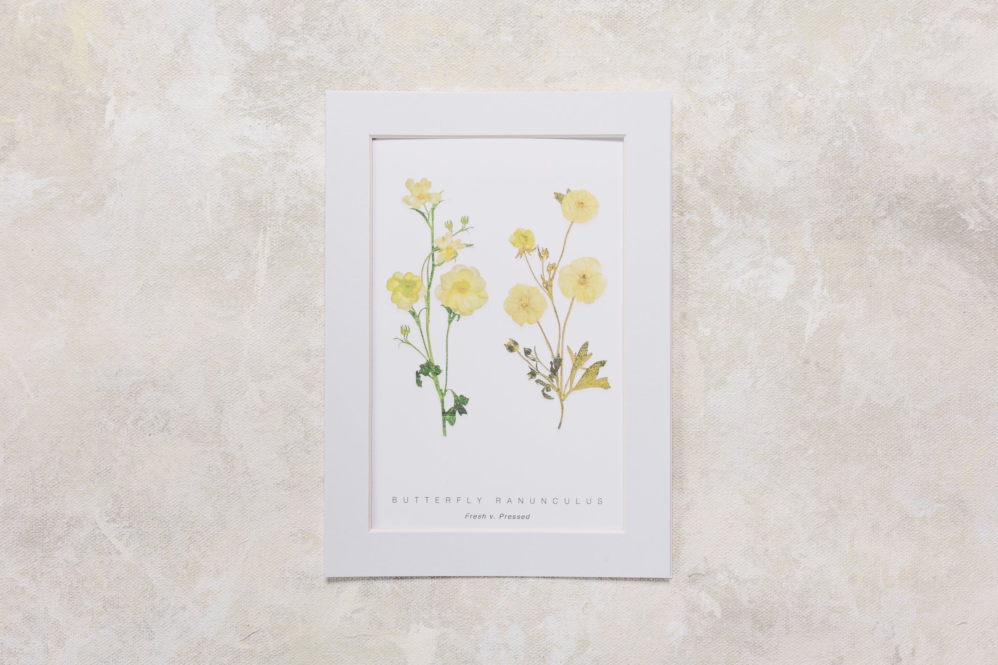 FAQs on Bouquet Preservation | Pressed Wedding Bouquets – Element Design