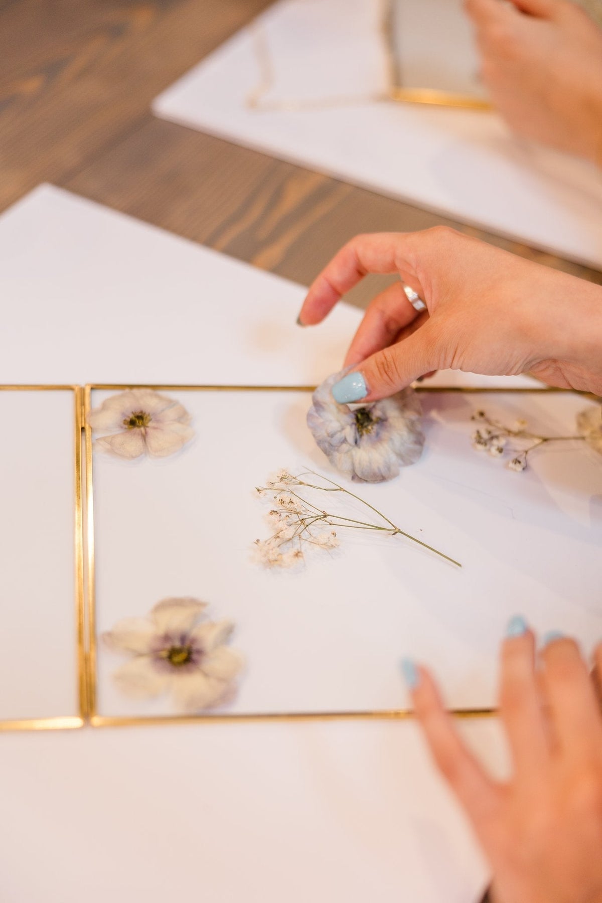 Master the Art of Pressed Flowers: Creative Tips & Tricks