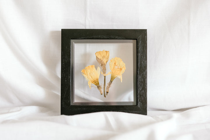 March birth flower frame - Daffodil
