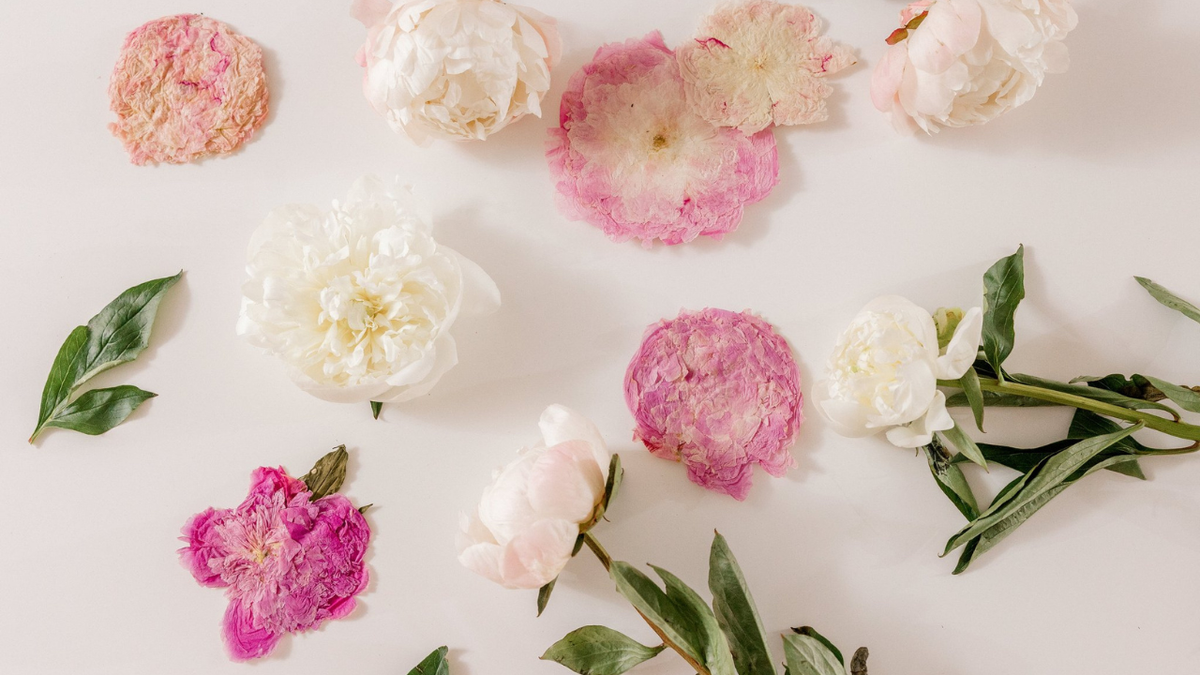 Spring is Here - And So Is the Perfect Time to Plan Your Bouquet Preservation