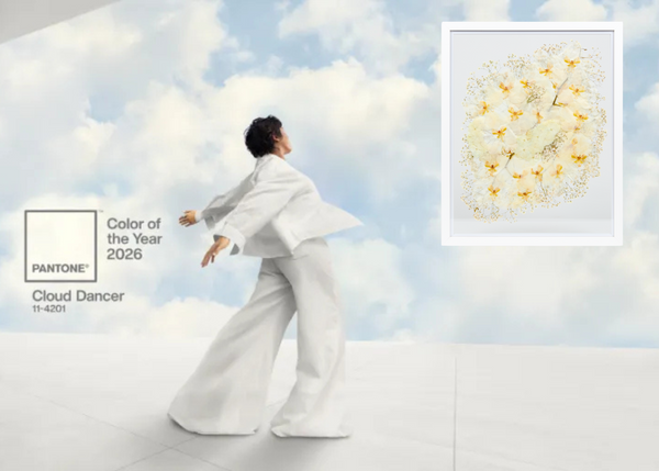 Cloud Dancer - Pantone Color of the Year 2026 and Element Design