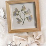 Pressed Birth Flowers in Frames (Ships Immediately)