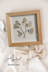 Pressed Birth Flowers in Frames (Ships Immediately)
