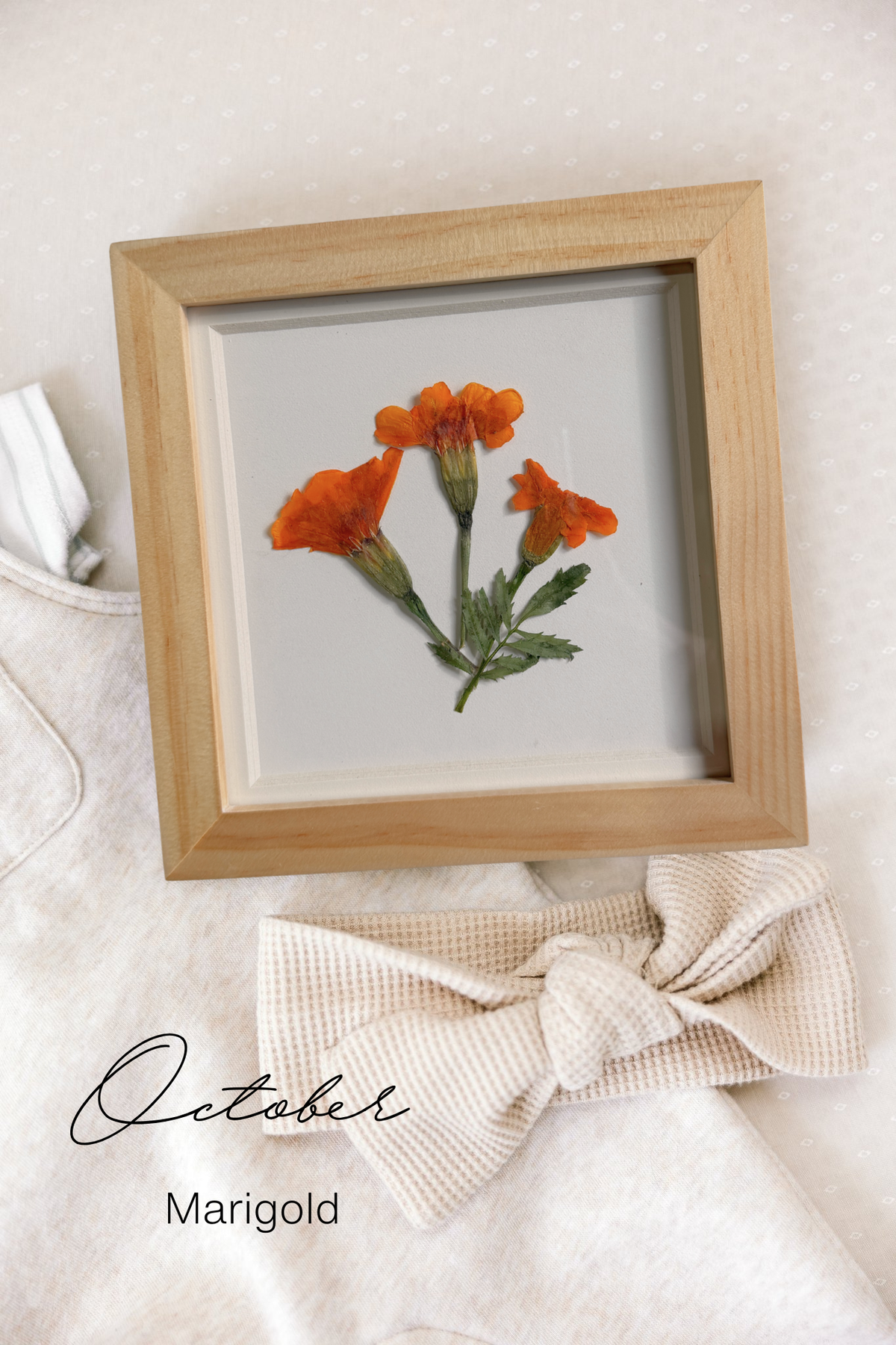 Pressed Birth Flowers in Frames