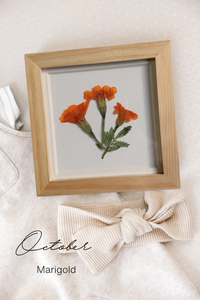 Pressed Birth Flowers in Frames (Ships Immediately)