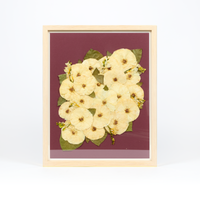16x20 Flower Burst | Bouquet Preservation Frame
