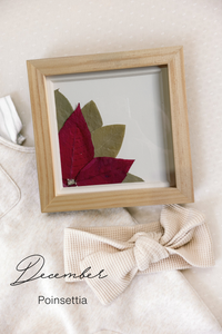 Pressed Birth Flowers in Frames (Ships Immediately)