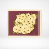 16x20 Flower Burst | Bouquet Preservation Frame