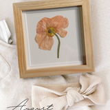 Pressed Birth Flowers in Frames (Ships Immediately)