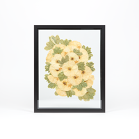 Black Wood Bouquet Frame - 16x20 | Burst Design with Glass Float Background