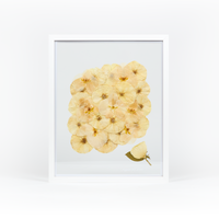 White Wood Bouquet Frame - 16x20 | Burst Design with Glass Float Background and Boutonniere Addition