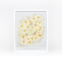 White Wood Bouquet Frame - 16x20 | Burst Design with Glass Float Background