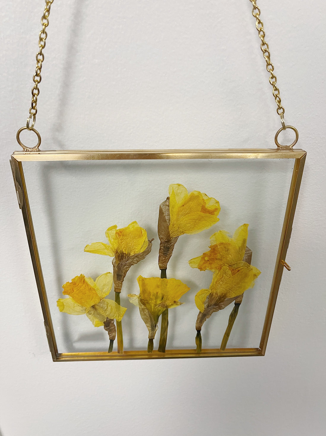 Hanging Float Pressed Flower Frame | Gold Square