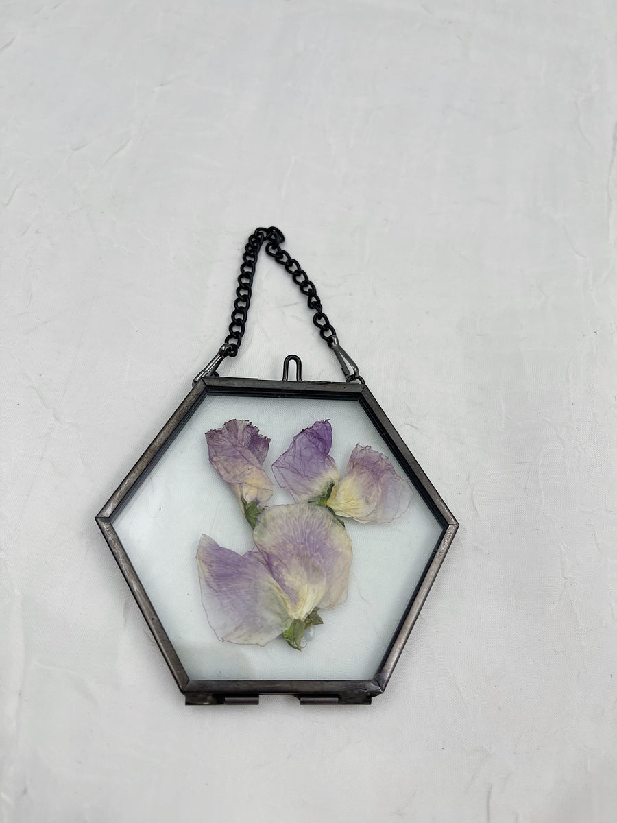 Hanging Float Pressed Flower Frame | Black Hexagon
