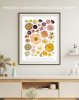 Pressed Flowers Collage | Downloadable Print