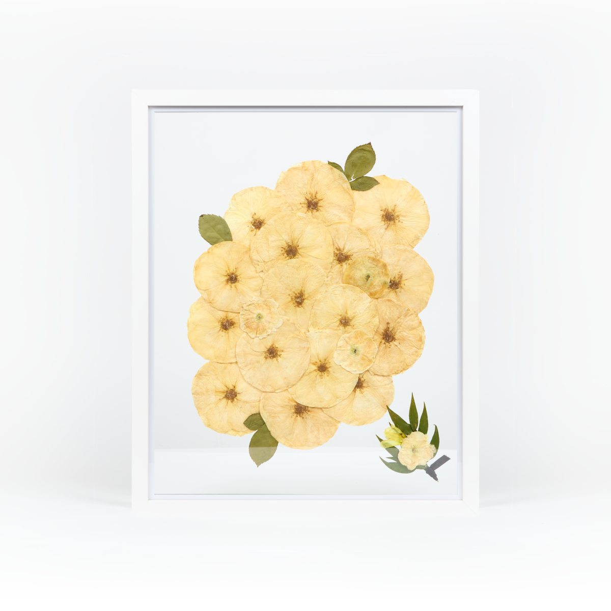White Wood Bouquet Frame - 16x20 | Burst Design with Glass Float Background and Boutonniere Addition