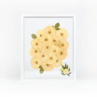 White Wood Bouquet Frame - 16x20 | Burst Design with Glass Float Background and Boutonniere Addition