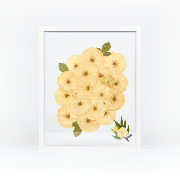 White Wood Bouquet Frame - 16x20 | Burst Design with Glass Float Background and Boutonniere Addition