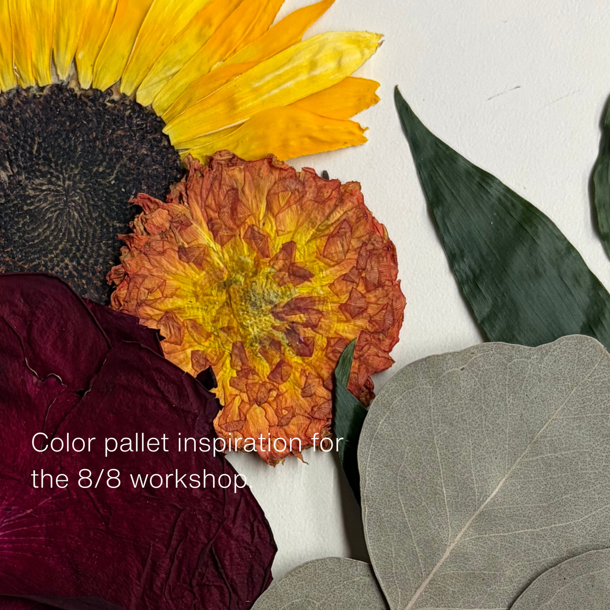 Cake Decorating Class: Pressed Floral Inspired Designs