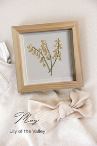 Pressed Birth Flowers in Frames (Ships Immediately)