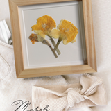 Pressed Birth Flowers in Frames (Ships Immediately)