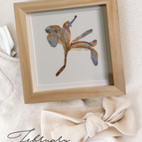 Pressed Birth Flowers in Frames (Ships Immediately)