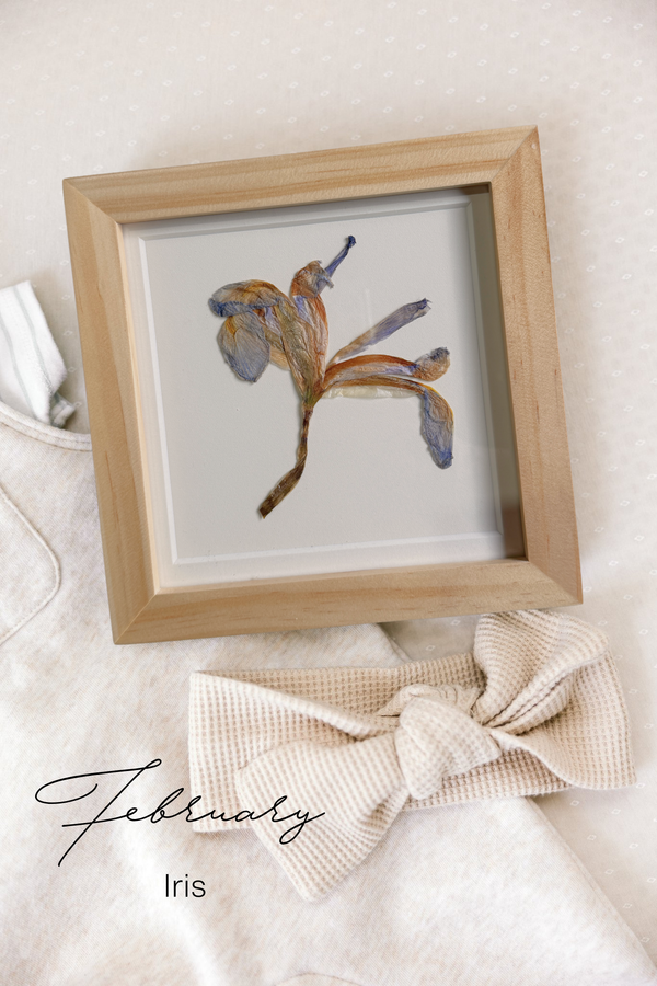Pressed Birth Flowers in Frames (Ships Immediately)