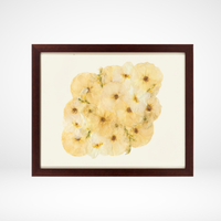 16x20 Flower Burst | Bouquet Preservation Frame