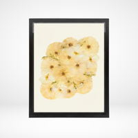16x20 Flower Burst | Bouquet Preservation Frame